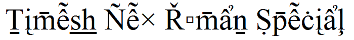 Times New Roman Special G2 font
